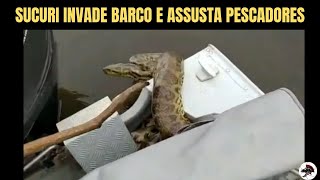 Sucuri Invade Barco e assusta pescadores  Biólogo Henrique o Biólogo das Cobras [upl. by Omixam]