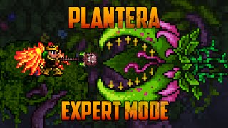 Terraria 13  Plantera Expert Mode Boss Battle [upl. by Adnuhsat]