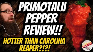 IS THIS PEPPER HOTTER THAN THE CAROLINA REAPER  PRIMOTALII POD REVIEW  EPISODE 50 [upl. by Bullion]