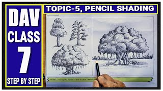 dav CLASS 7  TOPIC 5  PENCIL SHADING  STEP BY STEP  dav  DAV  dav school class 7 [upl. by Barry]