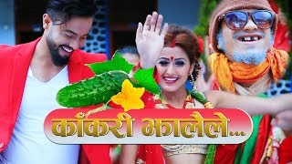 New Comedy Teej Song 20772020  KAKARI JHALAILE Ganesh adhikari ft Aashir Pratap Anjali Adhikari [upl. by Mahon273]