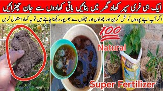 High Power Liquid fertilizer for plants growth  How to make cow dung Tonic [upl. by Aleacim]