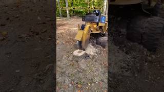 Stump Grinding Machine shorts ytshorts stumpgrinding stumpgrinder machine vehiclearmy2 [upl. by Shirl37]