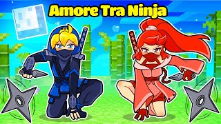 SE SBRISER NINJA AMASSE ZOE NINJA Su Minecraft [upl. by Aivatahs]