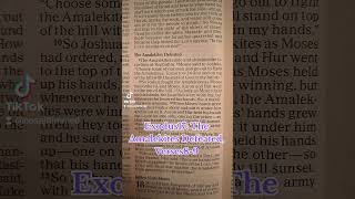 Exodus17 The Amalekites Defeated Verses89 Exodus17 Amalekites Moses Aaron God NIV Bible [upl. by Lambrecht473]