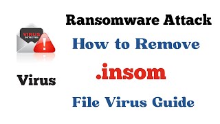 How to decrypt and remove Insom insom ransomware virus and Recover Data insom decryptor Makop [upl. by Knapp]