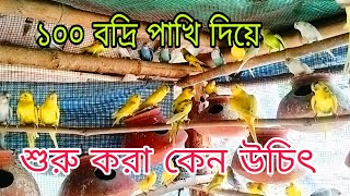 ১০০ বদ্রি পাখি দিয়ে কেন শুরু করা উচিত bodripakhi palon padhdhati [upl. by Paymar]