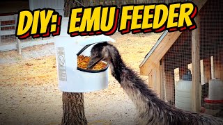 DIY Building an animal feeder from scratch [upl. by Artemisia151]