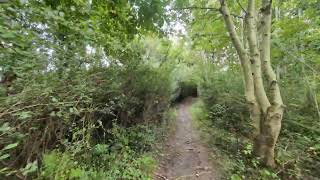 4K60FPSHIRES🚶Circular walk at Llwyni Common Connahs Quay🚶 September 21st 2024 [upl. by Hammer316]