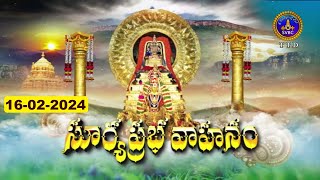 Rathasapthami  Srivari Suryaprabha Vahanam  Tirumala  16022024  SVBC TTD [upl. by Miquela]