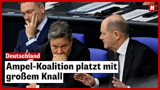 AmpelKoalition platzt mit großem Knall [upl. by Sholom]