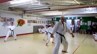 EXAMEN DE KARATÉ Pour la ceinture bleu 2015 06 18 [upl. by Amadeo]