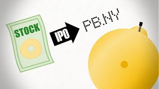 The IPO Process [upl. by Onileba]