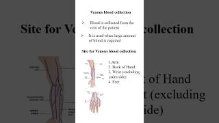 venous blood collection  site for venous blood collection [upl. by Anahcar]