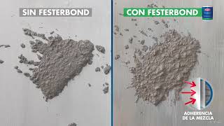 CONOCE FESTERBOND [upl. by Ruella]