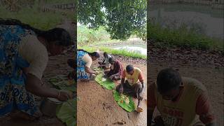 Namma vayal ku sapadu kondu pononga🍛🌾 shots villagelife [upl. by Ardnassak]