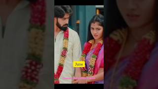 Vijay tv pairs vs month wise marriage looklovely edits [upl. by Eki]