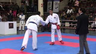 2nd World GojuRyu Championships [upl. by Townshend]