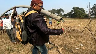 Mobarak Snake Saver Indian Cobra Rescue 4 no Balu banker Chirkunda [upl. by Llovera850]