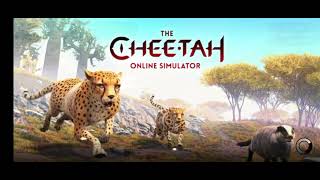 random the cheetah gameplay 2 [upl. by Zasuwa]