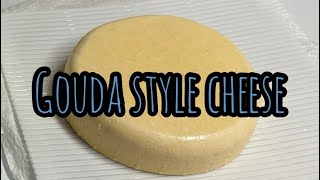 How to make Gouda style cheese at home [upl. by Jurgen]