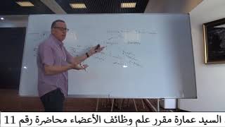 11 Endocytosis amp Exocytosis  general physiology  دكتور سيد عماره [upl. by Axia42]