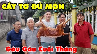 CẦY TƠ ĐỦ MÓN ✦ VITAMIN GÂU GÂU • Nhâm Nhi Cùng Các Bạn Già [upl. by Bruis]