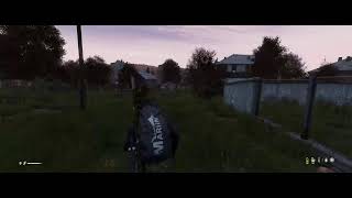 DayZ [upl. by Itram]