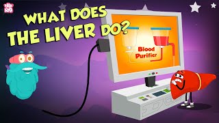 What Does The Liver Do  Liver Functions  The Dr Binocs Show  Peekaboo Kidz [upl. by Spense810]