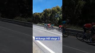 Willunga Hill climb australia cycling tourdownunder bicycle viral climbing climb [upl. by Ganley]