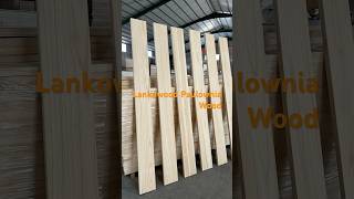 Paulownia wood paulowniasurfboard paulowniawood paulownia wallpanelling wallpaneling [upl. by Bander8]