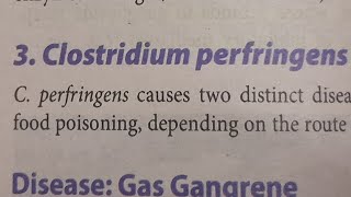 Clostridium Perfringens  MICROBIOLOGY [upl. by Petrie]