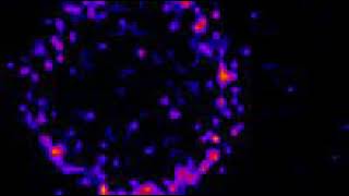 Rapid SNAREMediated Fusion of Liposomes and Chromaffin Granules with Giant Unilamellar Vesicles [upl. by Aliemaj]