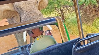 Elephant Picks up and Throws Truck full of Tourists [upl. by Atnoed262]