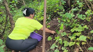 Fuimos a traer tierra negra para las plantas 🪴🪴ala montaña ⛰️😉 [upl. by Vig]