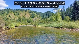 This stream is the Epitome of Perfection  3 day Backcountry Fly Fishing Trip [upl. by Chabot]