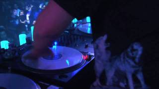 Dj AM live scratching 40 secs in HD [upl. by Kilk]