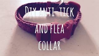 DIY anti tick and flea dog collar [upl. by Adaliah]