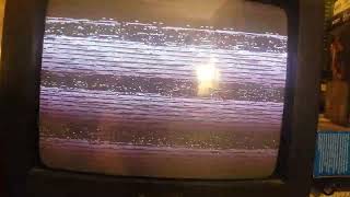 What happens when you put a PAL VHS in an NTSC vcr [upl. by Dickman332]