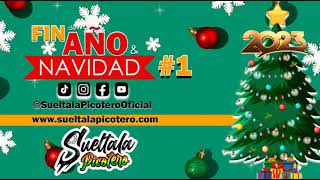 Fin De Año y Navidad 3  SueltalaPicotero [upl. by Vani404]