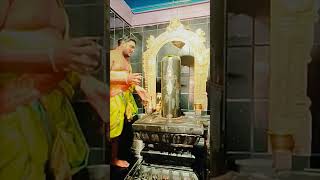 Om Namaha Sivayahindutemple templeshorts templedevotionals devotional viralvideo [upl. by Dilks108]