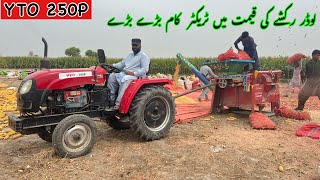 Tradimpex agro Yto 250p mini tractor performance  new tractor in Pakistan [upl. by Fernandes]