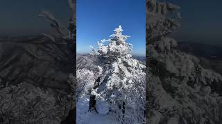 너의 모든순간아름다운 태백산 설경Every moment of yours Beautiful snowy landscape of Taebaeksan Mountain in Korea [upl. by Neerom]