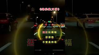 改编歌曲刀郎演唱会就怕歌词入了心 [upl. by Nithsa969]