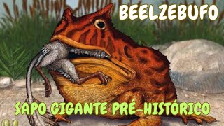 BEELZEBUFO o maior sapo que já existiu [upl. by Zeke]