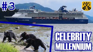 Celebrity Millennium Pt3  Ketchikan Black Bear amp Wildlife Exploration Tour Kawanti Adventures [upl. by Nnylahs656]