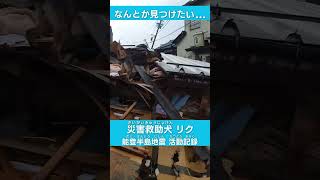 【能登半島地震】懸命の捜索…見つけてあげたい…災害救助犬活動記録 大震災 news [upl. by Ruphina]