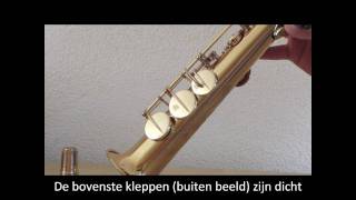 Low notes on a soprano saxophone [upl. by Hearsh]