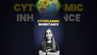 Cytoplasmic Inheritance [upl. by Nennarb770]