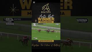 🏆 MINELLA DRAMA 🏆 WINNER  412 Odds of 🏇 Horse Racing 💰 BettingStrategy Shorts [upl. by Eno]